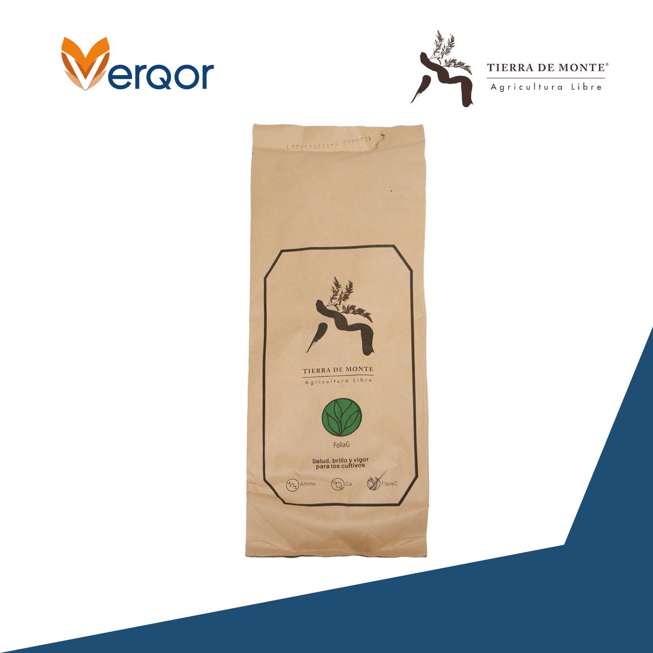 FoliaG de Tierra del Monte