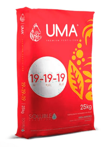 UMA 19-19-19 FORTE