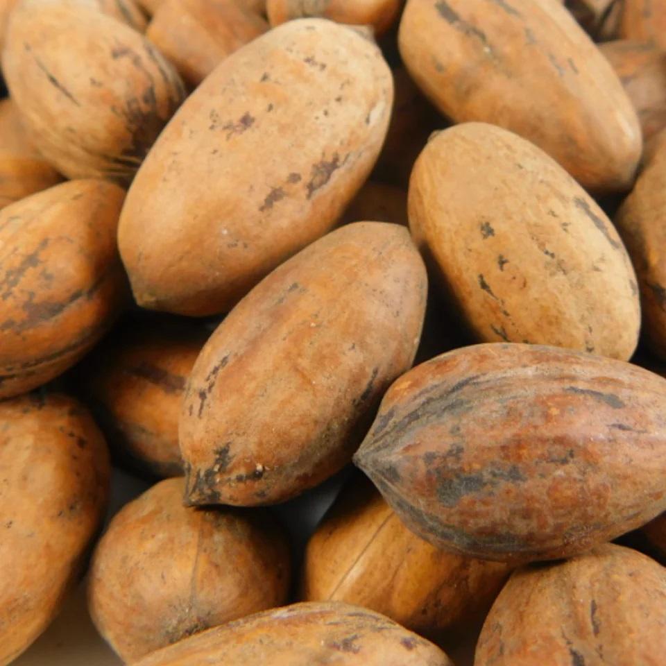 NUEZ CON CASCARA WESTERN