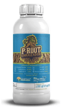 P-ROOT 1 LT