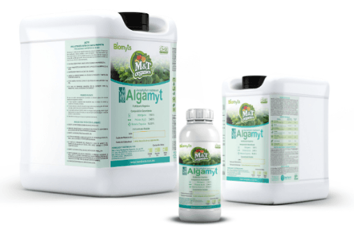 ALGAMYT