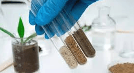 ANALISIS FITOPATOLOGICOS