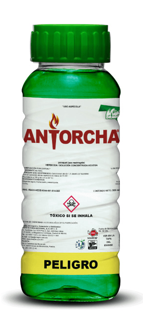 ANTORCHA