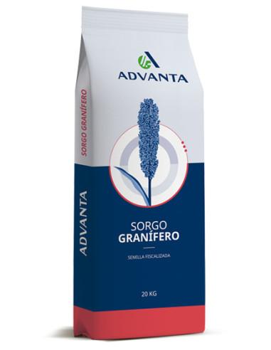 Semilla de sorgo Advanta