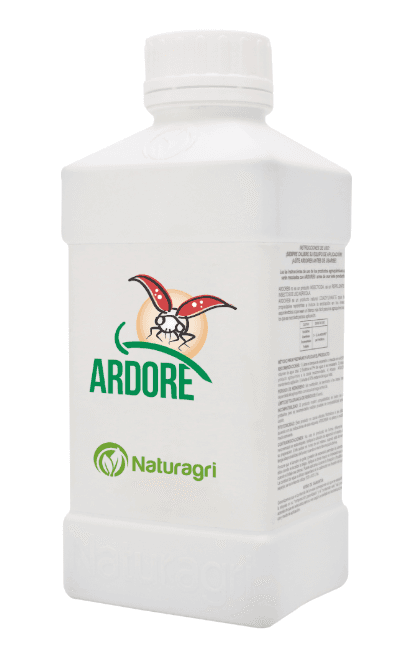 ARDORE 1L