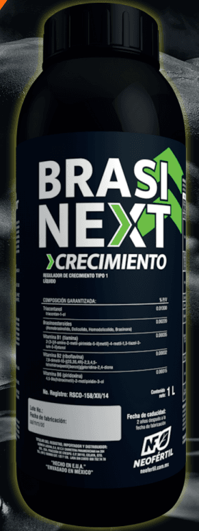 BRASINEXT RAICES