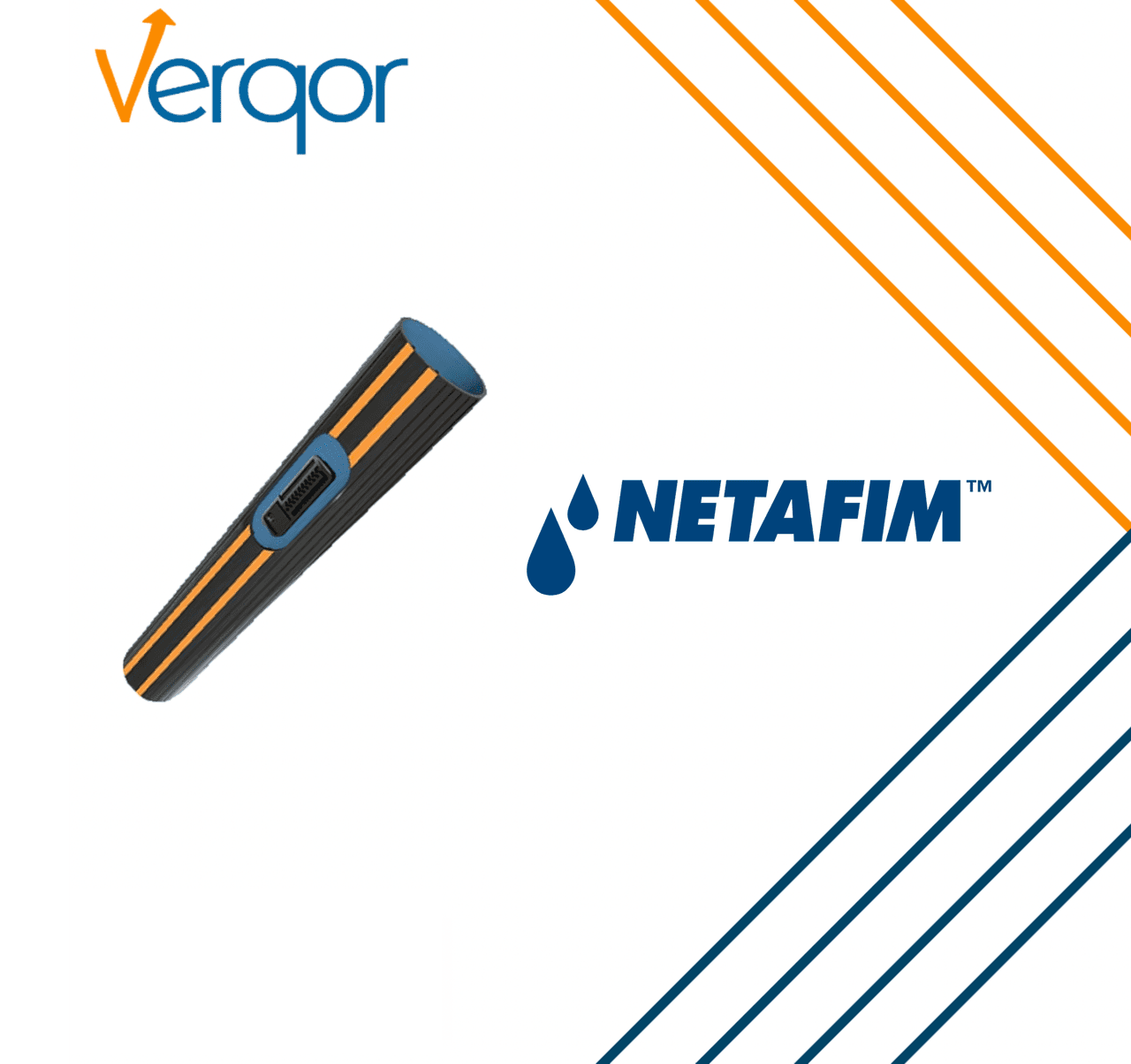 Cintilla Netafin Pastilla 5mil