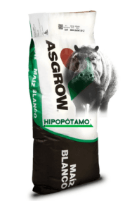 MAIZ BLANCO HIPOPOTAMO