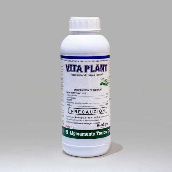 VITA PLANT