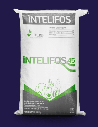 INTELIFOS