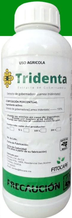 TRIDENTA