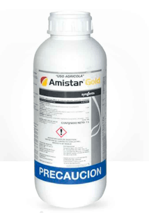 AMISTAR GOLD