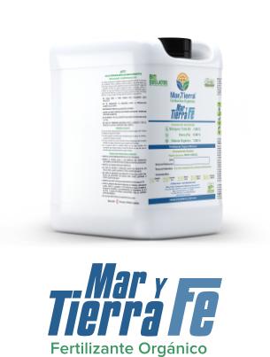 MAR Y TIERRA FE 20 LT