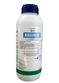 Kasumin MEGA PLUS