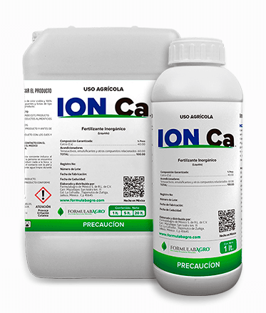 ION CA
