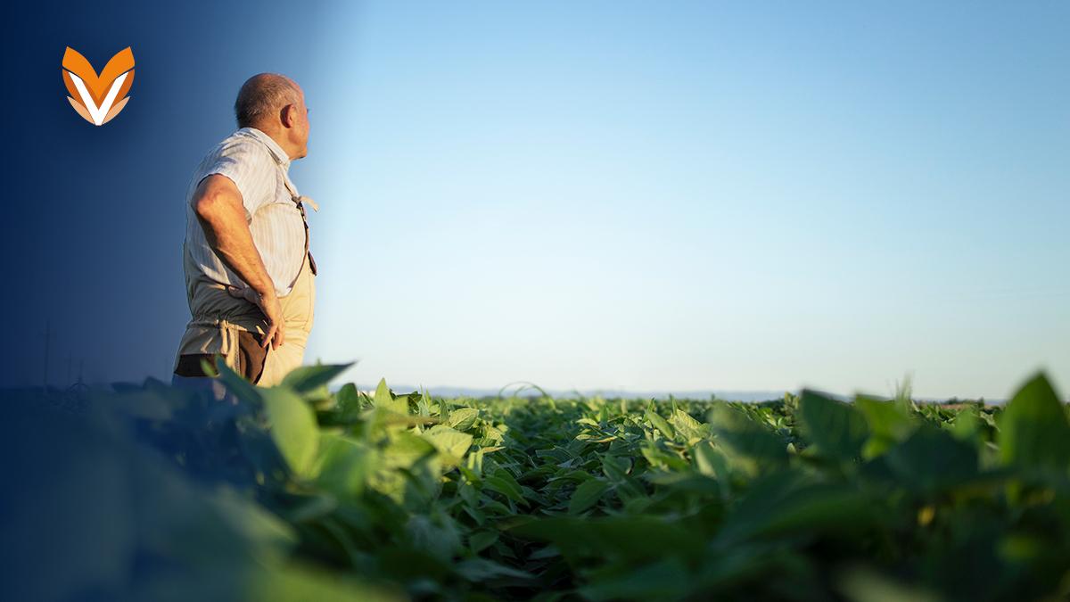 Crédito Agropecuario