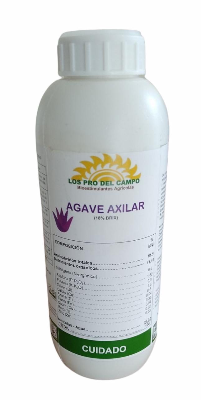 Agave Axilar de Los Pro del Campo