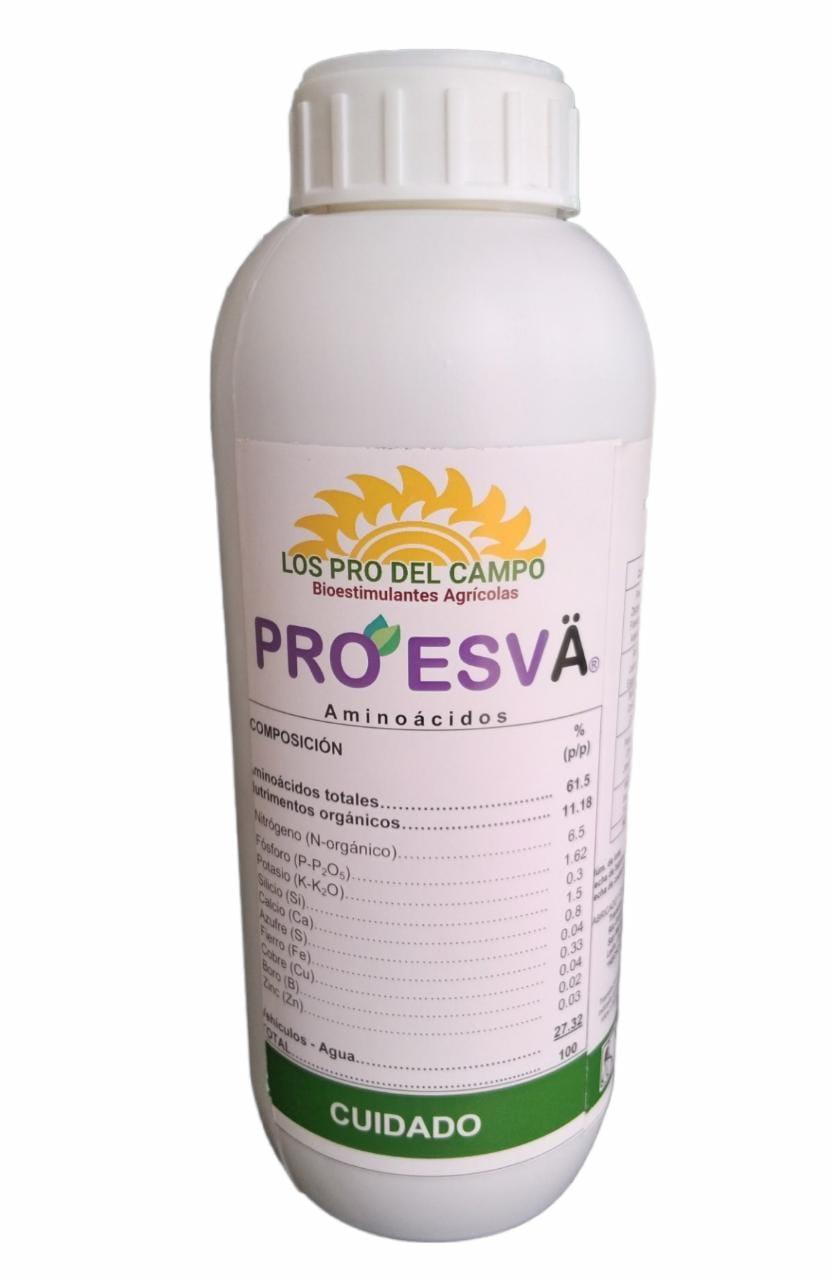 Pro Esva de Los Pro del Campo