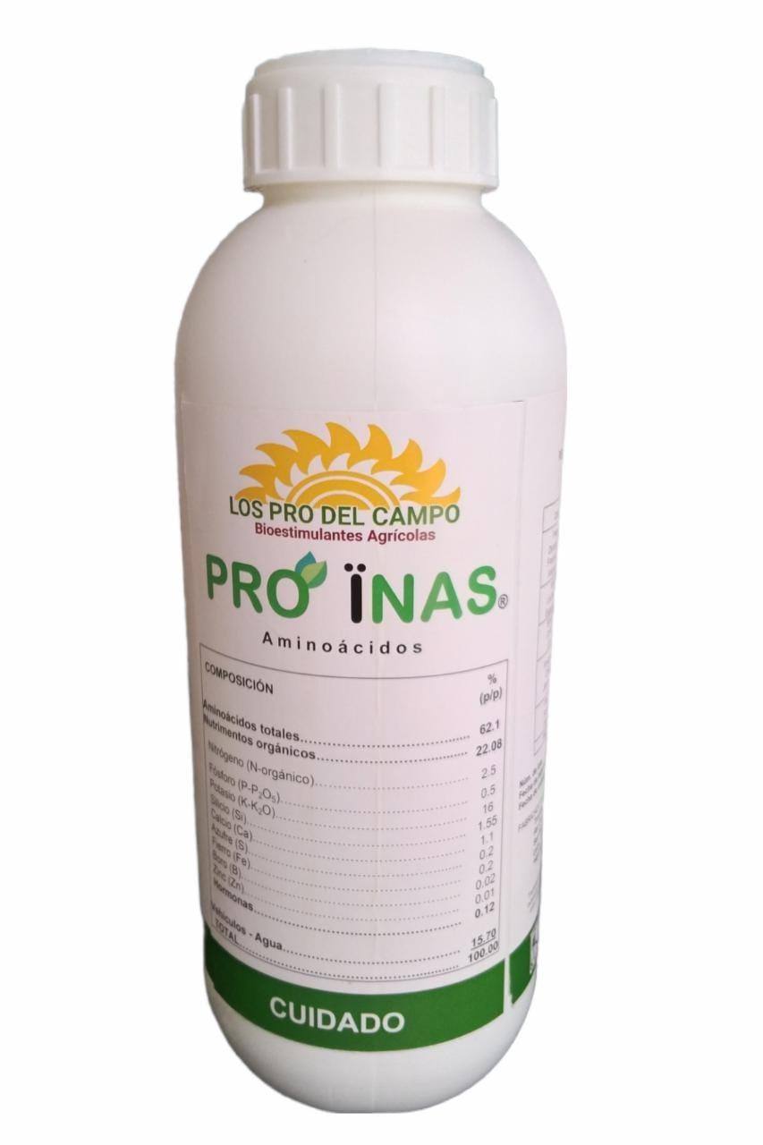 Pro Inas de Los Pro del Campo